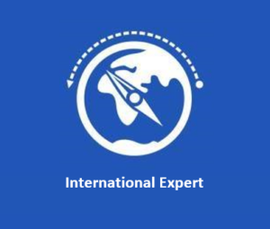 International Expert: обзор компании, услуг и отзывов